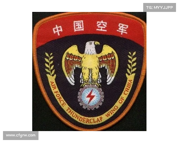 德甲赛事臂章在哪侧;德甲肩章 德甲赛事臂章在哪侧;德甲肩章